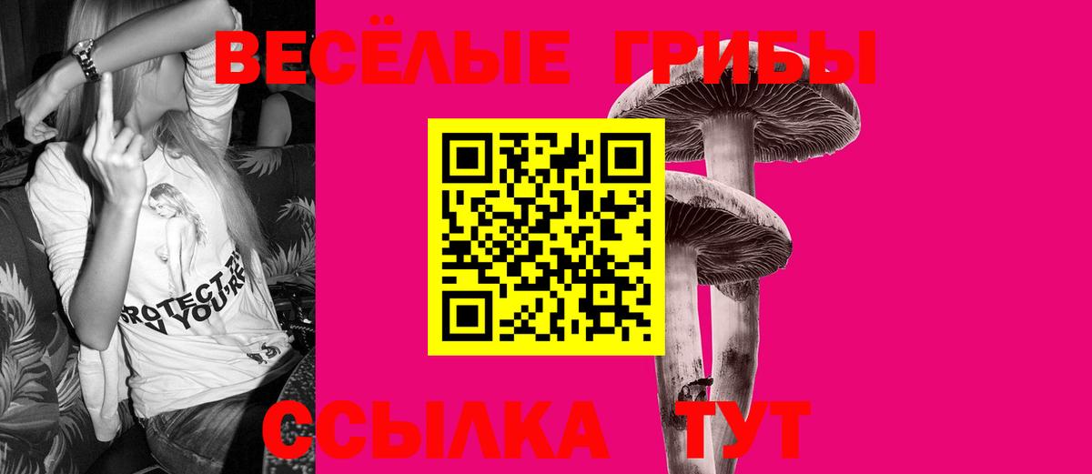 Псилоцибиновые грибы Cubensis Октябрьский