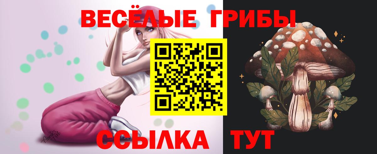 Псилоцибиновые грибы Psilocybine cubensis  Вход с VPN  Октябрьский 